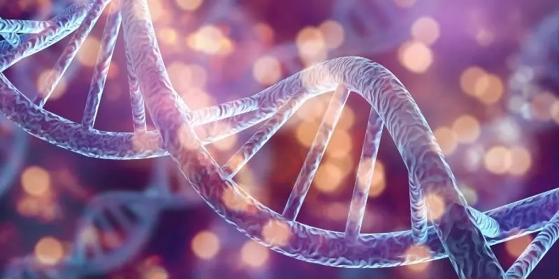 Bí ẩn gì khiến tế bào gốc khó kiểm soát và nguy hiểm?