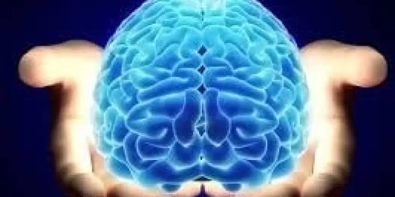 Cơ quan điều khiển mọi hoạt động của cơ thể là gì?