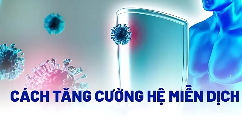Làm thế nào để tăng cường hệ miễn dịch tự nhiên hiệu quả