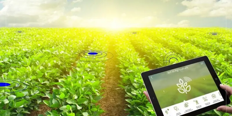 Công nghệ IoT trong nông nghiệp nâng cao hiệu quả sản xuất