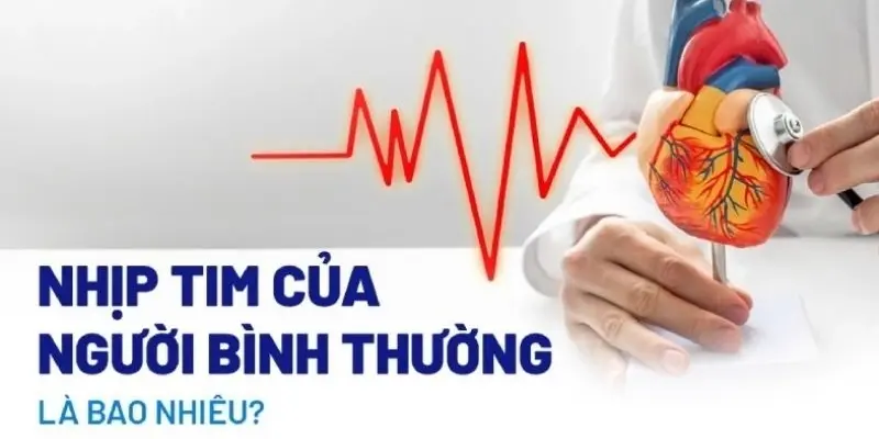 Nhịp tim nghỉ ngơi bình thường là bao nhiêu theo chuẩn y học