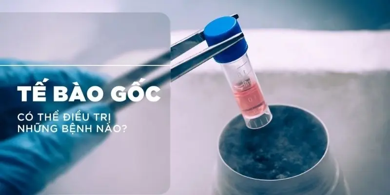 Tế bào gốc trong y học tái sinh giúp chữa lành bệnh gì