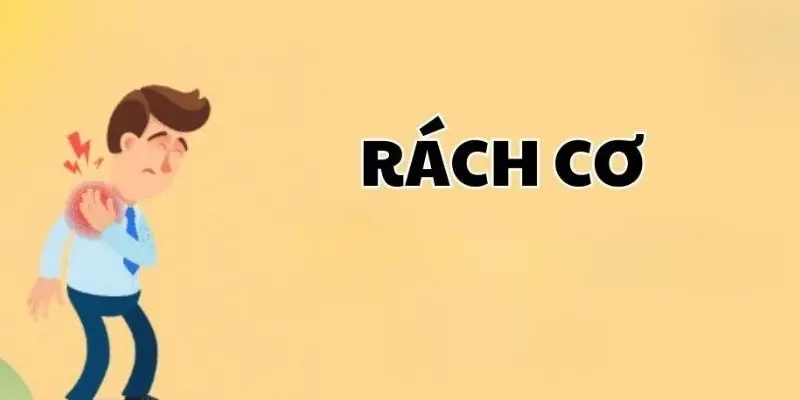 Làm thế nào để nhận biết dấu hiệu rách cơ chính xác?