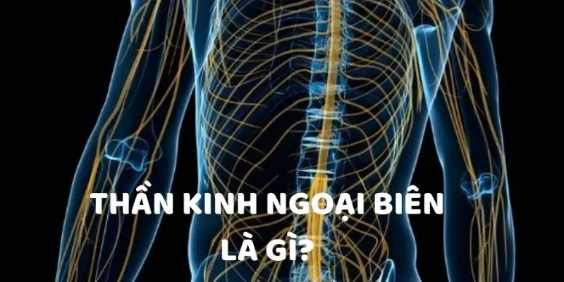 Dấu hiệu nhận biết chứng rối loạn thần kinh ngoại biên?