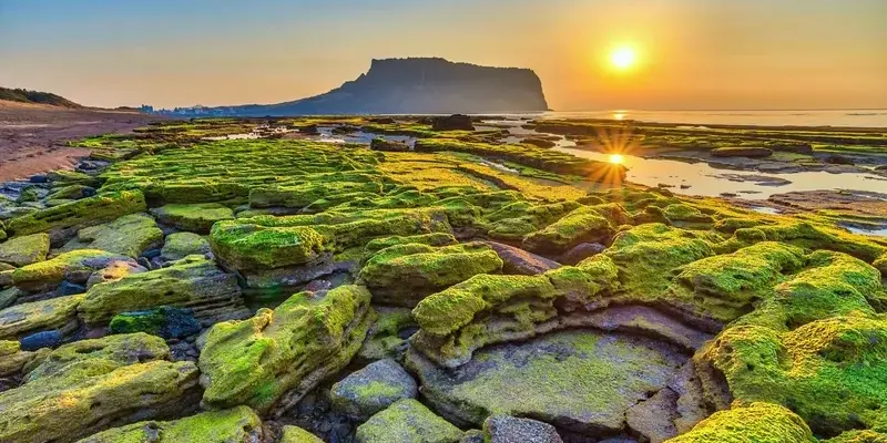 Đảo Jeju - Xứ sở bình yên với cảnh sắc thiên nhiên kỳ diệu