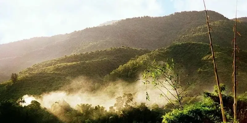 Mùa đông sương mù Bắc Kạn huyền ảo giữa đại ngàn