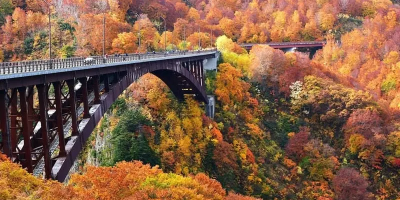 Mùa thu lá đỏ Quebec Canada đẹp rực rỡ mê hồn du khách