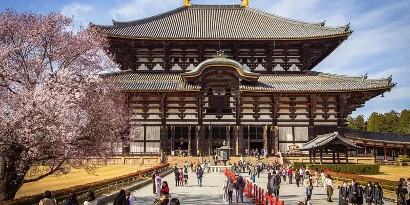 Nara – Thành phố cổ kính và thiên nhiên tuyệt đẹp của Nhật