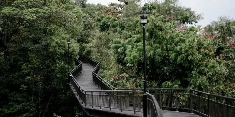 Khám phá Southern Ridges – Cung đường xanh giữa lòng đô thị