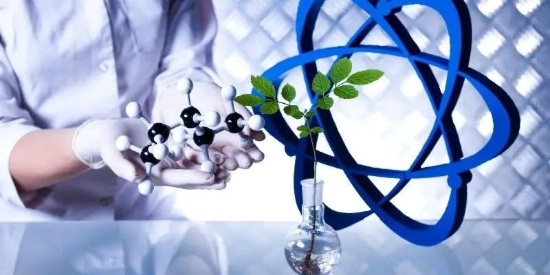 Thực phẩm từ không khí có thể nuôi sống nhân loại không?