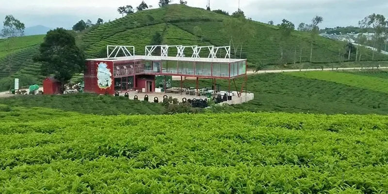 Tham khảo ngay bộ sưu tập ảnh Villa đồi chè Đà Lạt đẹp nhất