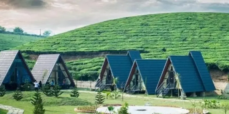 Bộ sưu tập ảnh Villa đồi chè Mộc Châu không thể bỏ lỡ