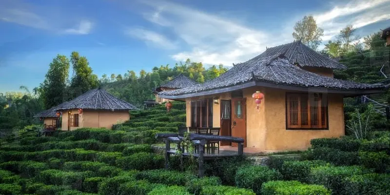 Bộ sưu tập ảnh Villa đồi chè Pleiku hấp dẫn mọi du khách