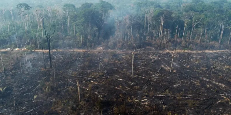 Rừng bị phá hủy ảnh hưởng gì đến khí hậu môi trường