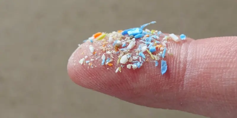 Vi nhựa và sự thật phía sau thói quen sinh hoạt hiện đại