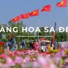 Làng hoa Sa Đéc - Nơi hội tụ sắc màu hoa bốn mùa miền Tây