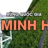 Rừng U Minh Hạ - Khu bảo tồn sinh thái miền Tây Nam Bộ