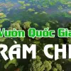 Vườn Quốc gia Tràm Chim - Trải nghiệm sinh thái rừng tràm