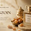 Benzoin là gì? Khám phá nguồn gốc và ứng dụng của nhựa cây bồ đề