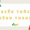 Cạnh Đáy Là Gì? Khái Niệm và Đặc Điểm Trong Các Hình Học