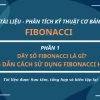 Dãy số Fibonacci là gì những bí ẩn thú vị trong tự nhiên