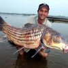 Khám phá cá trà sóc: Đặc sản độc đáo và giá trị dinh dưỡng