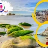 Khám phá Dinh Thầy Thím Cổ Thạch: Di Sản Tâm Linh và Cảnh Quan Độc Đáo
