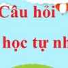 Khám phá sao chổi: Hiện tượng thiên văn kỳ thú và những điều bạn cần biết