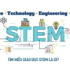 Khám Phá "Stem Nghĩa Là Gì": Hành Trình Giáo Dục Toàn Diện
