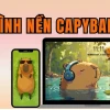 Khám Phá Thế Giới Dễ Thương Của Hình Ảnh Capybara