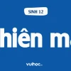 Làm khuôn mẫu cho quá trình phiên mã là nhiệm vụ của ai?