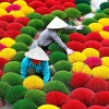 Làng hương Quảng Phú Cầu: Nét đẹp văn hóa và điểm đến hấp dẫn