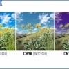 Màu RGB và CMYK: Hiểu Rõ Sự Khác Biệt Và Lựa Chọn Cho Dự Án
