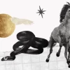 Mercury Retrograde 2026: Lịch Trình và Ý Nghĩa Chi Tiết