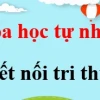 Năng Lượng Sóng Biển Khám Phá Tiềm Năng Tái Tạo Của Biển Cả