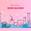 Nhóm Halogen là gì? Khám phá chi tiết về các nguyên tố và ứng dụng