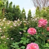 Phim trường Vũ Garden địa điểm chụp ảnh cưới lý tưởng tại TP.HCM