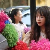Phố Phan Đình Phùng: Vẻ đẹp lãng mạn và trầm mặc giữa lòng Hà Nội