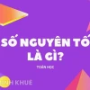 Số Nguyên Tố Là Gì? Khám Phá Định Nghĩa, Tính Chất và Cách Tìm Hiểu Chi Tiết