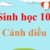 So sánh chi tiết quá trình nguyên phân và giảm phân trong sinh học