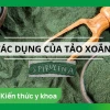 Tảo vàng Nhật Bản: Công dụng, cách dùng và lưu ý quan trọng