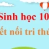 Tế bào nhân sơ và tế bào nhân thực: Phân biệt cấu trúc, chức năng và vai trò