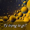 Tỷ trọng là gì? Phương pháp đo và cách tính chi tiết