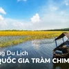 Vườn quốc gia Tràm Chim: Khám phá hệ sinh thái độc đáo và kinh nghiệm tham quan