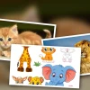 Top 10 hình ảnh các loại động vật dễ thương nhất hành tinh năm 2026