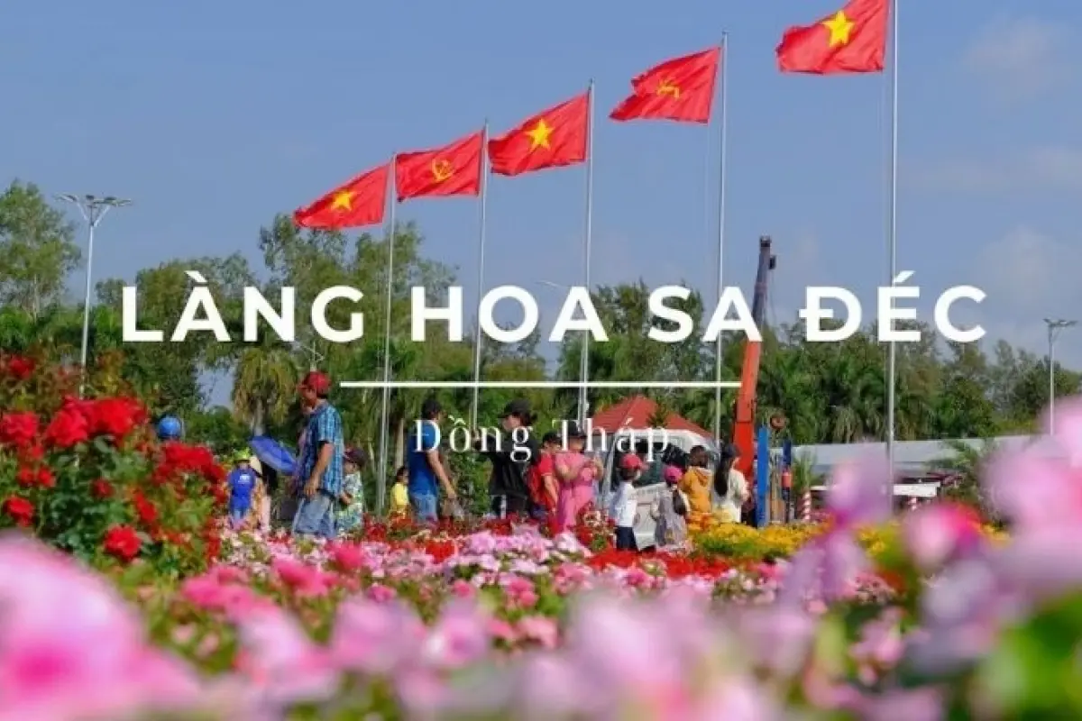 Làng hoa Sa Đéc - Nơi hội tụ sắc màu hoa bốn mùa miền Tây