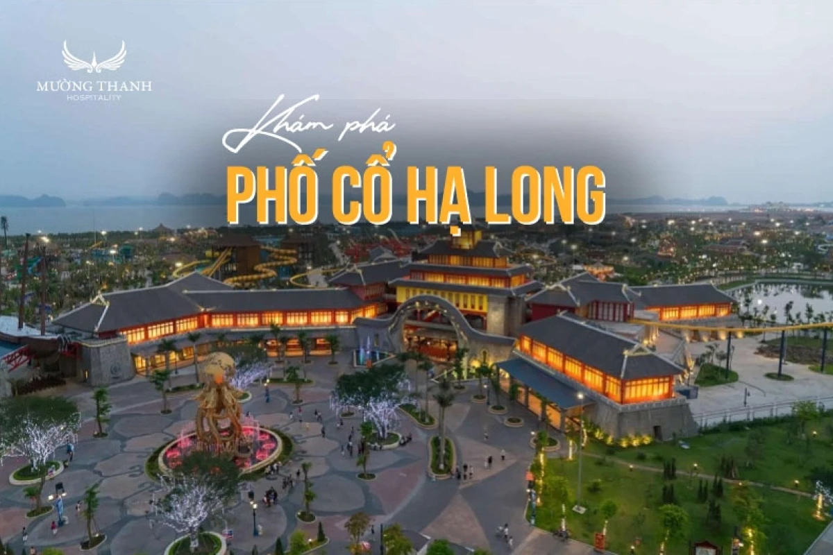 Phố Cổ Hạ Long: Nét Đẹp Giao Thoa Giữa Hoài Cổ và Hiện Đại