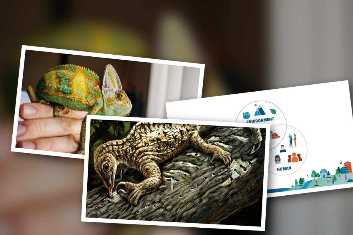 Comprehensive Guide to a Holistic Approach to Reptile Health and Wellness