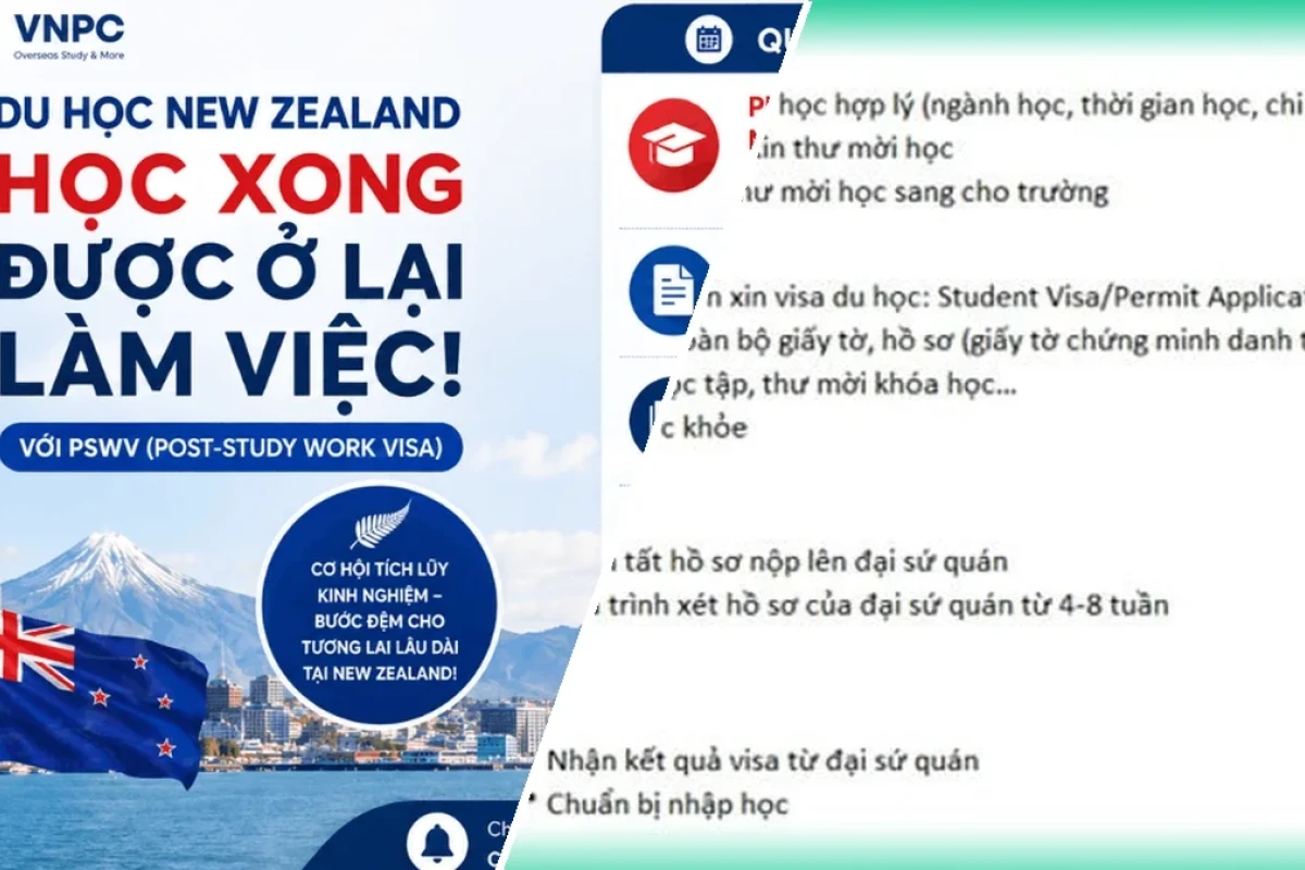 Quy trình apply du học New Zealand ngành quản lý dự án 2026