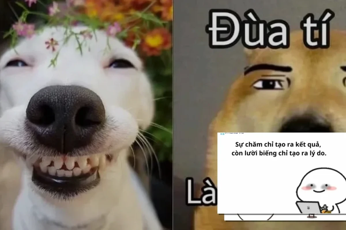 100+ Meme Cuộc Sống Hài Hước Ý Nghĩa: Tiếng Cười Giải Tỏa Áp Lực?